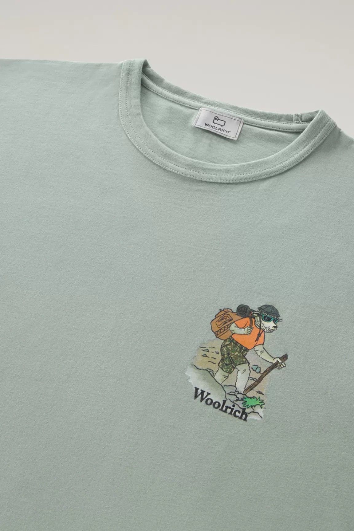 Woolrich T-shirt Voor Jongens Van Zuiver Katoen Met Grafische Print Sage Shop